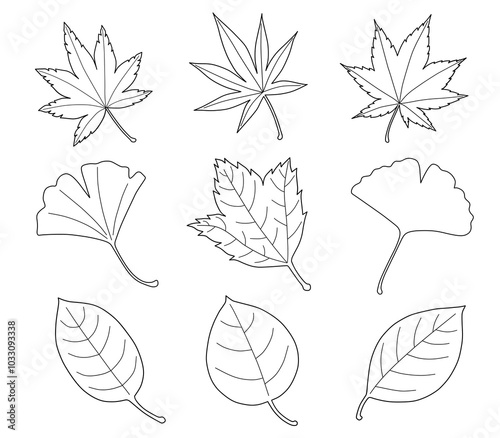 ペンで描いた色々な葉っぱのセット
