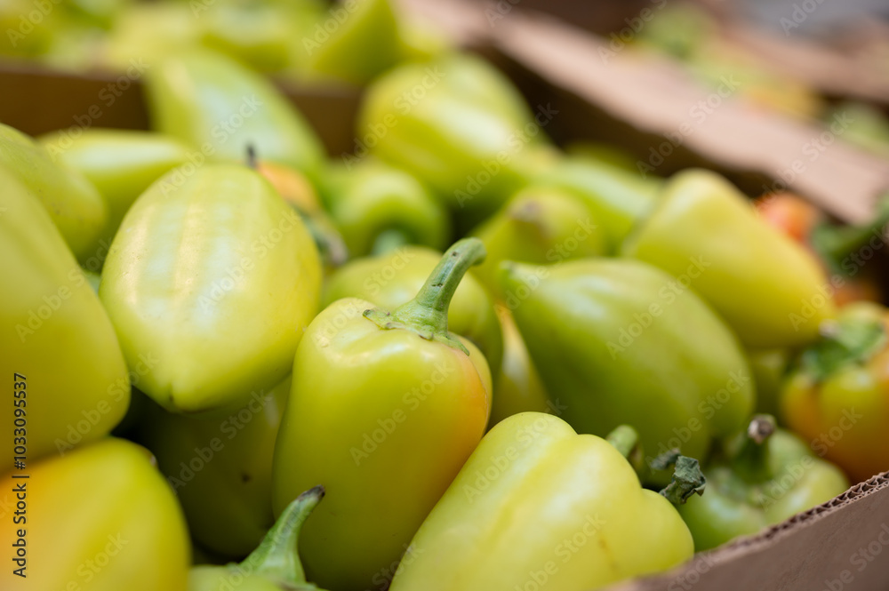 Many fresh green organic pepper in box on farmers market Many fresh green organic pepper in box on farmers market