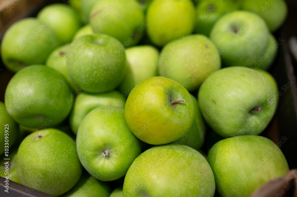 A pile of green apples in the supermarket. Agriculture. Eco-friendly product A pile of green apples in the supermarket. Agriculture. Eco-friendly product