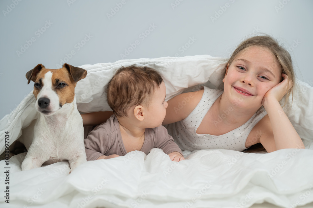 A little girl and her five-month-old brother and Jack Russell Terrier dog lie wrapped in a blanket. A little girl and her five-month-old brother and Jack Russell Terrier dog lie wrapped in a blanket.