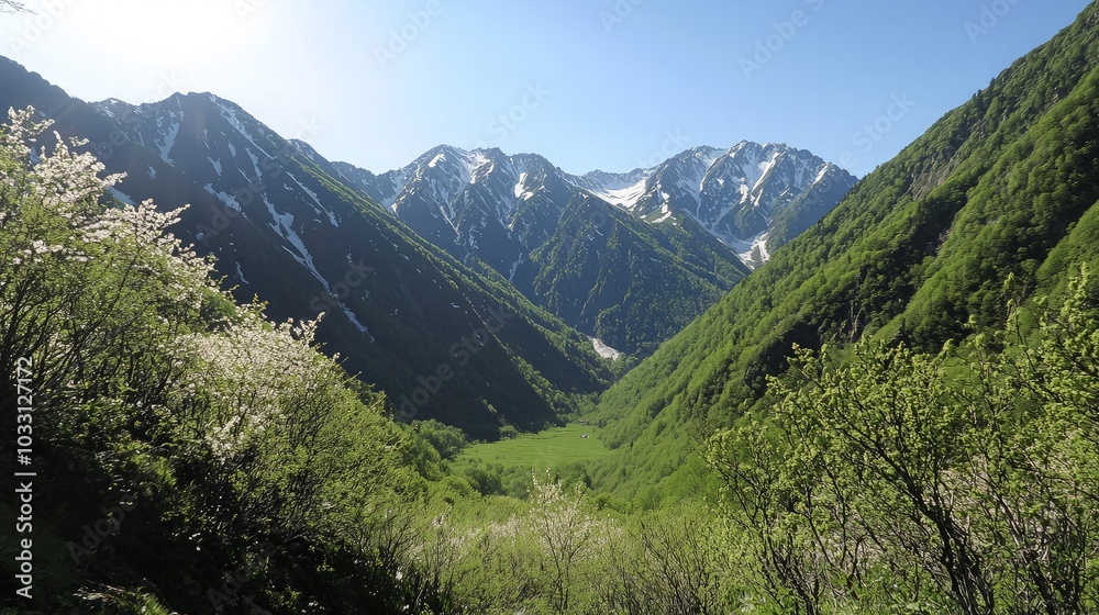 A scenic view of a valley surrounded by snow-capped mountains and lush green trees. A scenic view of a valley surrounded by snow-capped mountains and lush green trees.