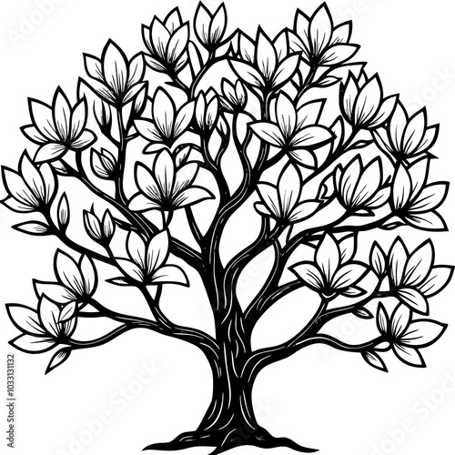 Magnolia silhouette 
 vector illustration 