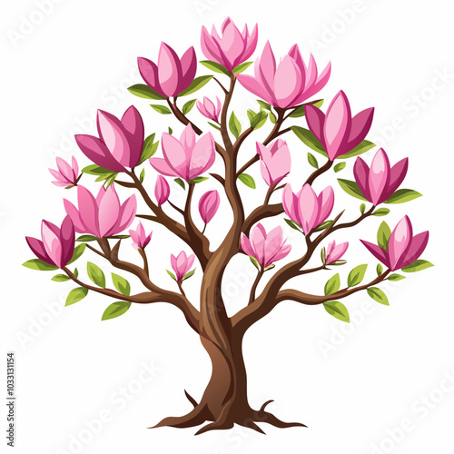 Magnolia vector illustration 