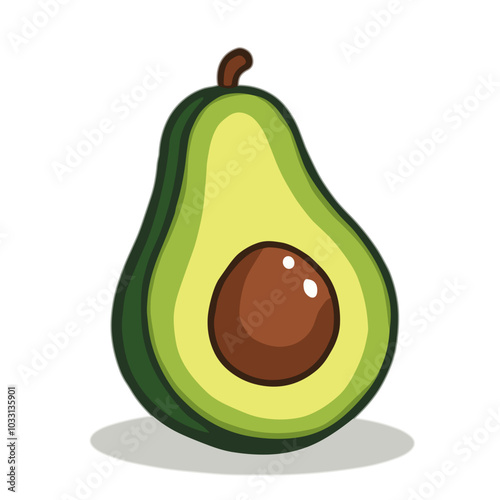 Vector avocado fruit illustration  