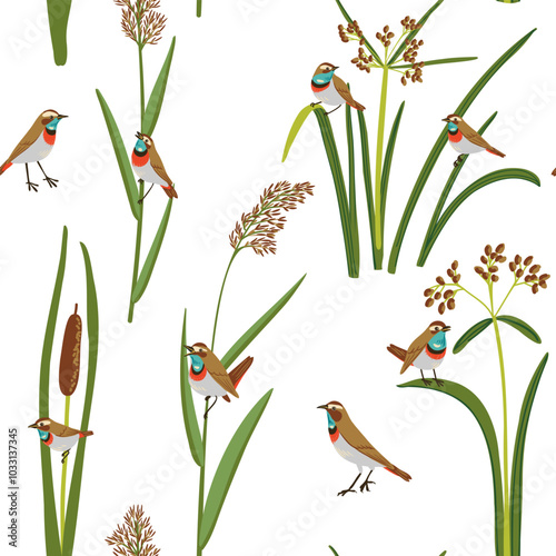 seamless pattern with wood club-rush, reed, cattail and bluethroats, vector drawing wild water plants and birds at white background, hand drawn illustration