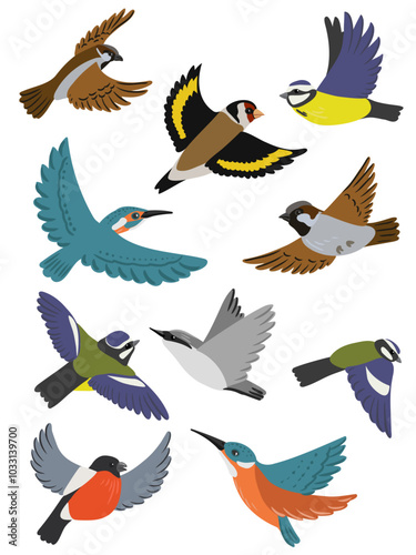 vector drawing set of flying birds, hand drawnillustration, isolated nature design element