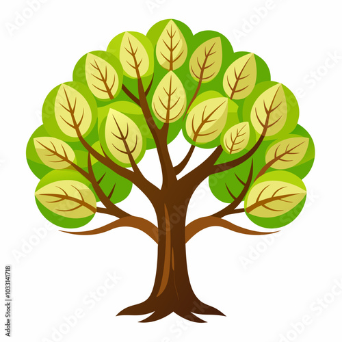 Walnut Tree on white background.