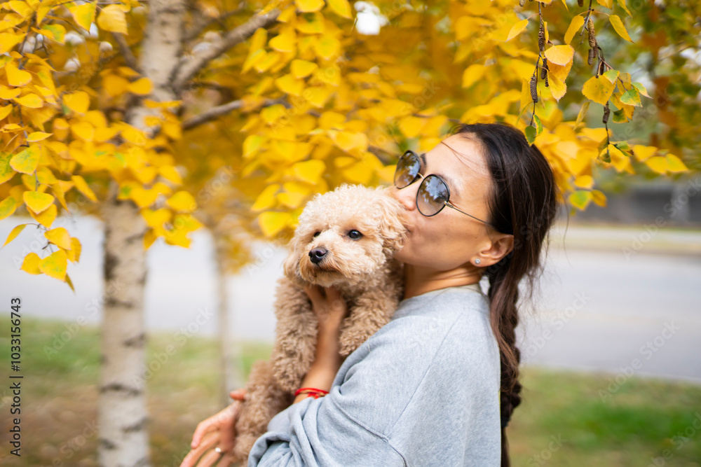 Young Asian woman holding a mini poodle on a background of yellow autumn leaves. Young Asian woman holding a mini poodle on a background of yellow autumn leaves.