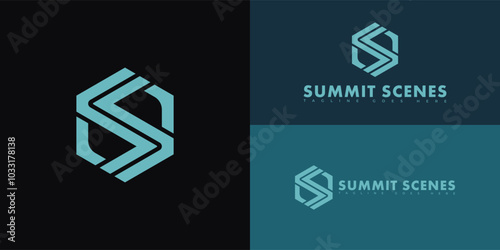 Modern initial hexagon vector letter S or SS logo in blue color isolated on multiple background colors. The logo is suitable for the production family of film studio logo design inspiration templates.