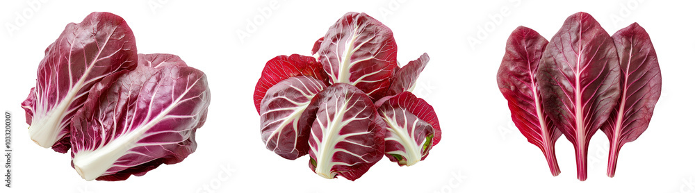 Obraz premium Red radicchio lettuce isolated on transparent PNG background perfect for food blogs or healthy-themed designs