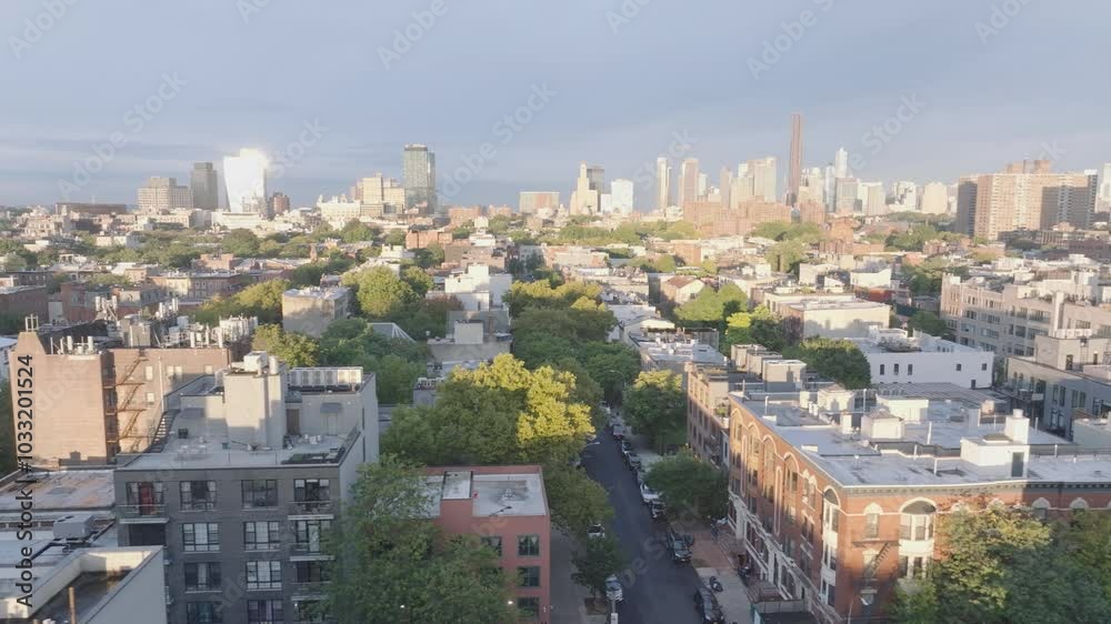 Aerial view of Bedford-Stuyvesant Brooklyn on an autumn morning Aerial view of Bedford-Stuyvesant Brooklyn on an autumn morning
