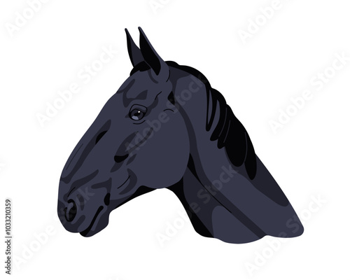 Lipizzan horse head profile. Beautiful thoroughbred stallion avatar, side view. Purebred equine animal, Kladruber breed. Black skin Lipizzaner. Flat vector illustration isolated on white background