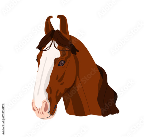 Marwari horse breed, head portrait. Beautiful thoroughbred stallion avatar. Indian equine animal, Malani purebred from Marwar, India. Flat graphic vector illustration isolated on white background