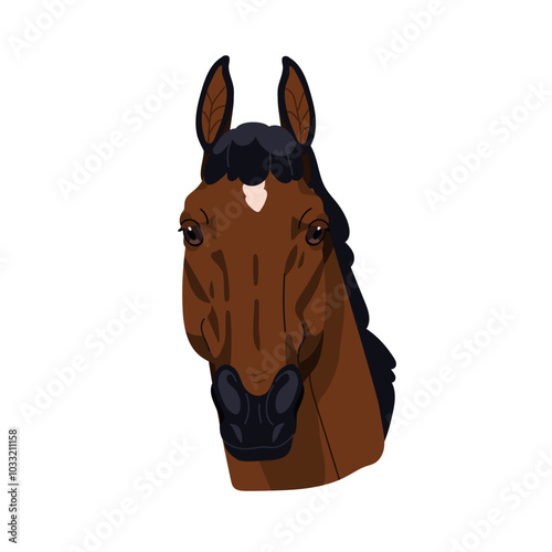 Trakehner horse breed, head portrait. Beautiful thoroughbred stallion face, front view. Equine animal avatar. Purebred Holsteiner. Flat graphic vector illustration isolated on white background