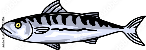 Vector Illustration of Mackerels Saltwater Fish