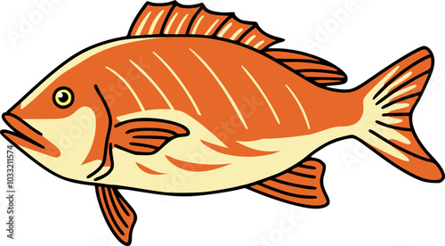 Vector Illustration of Snappers Saltwater Fish