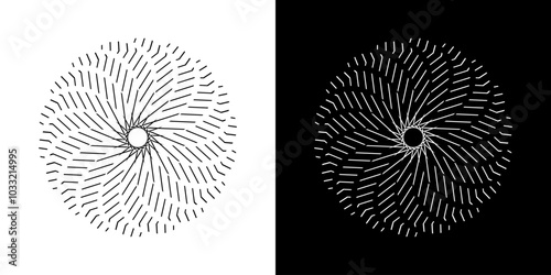 Abstract background with stripes pattern in circles. Spiral art design as a logo or icon. A black figure on a white background and the same white figure on a black side. Unique line pattern mandala.