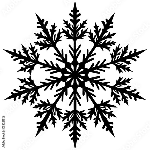black and white ornament