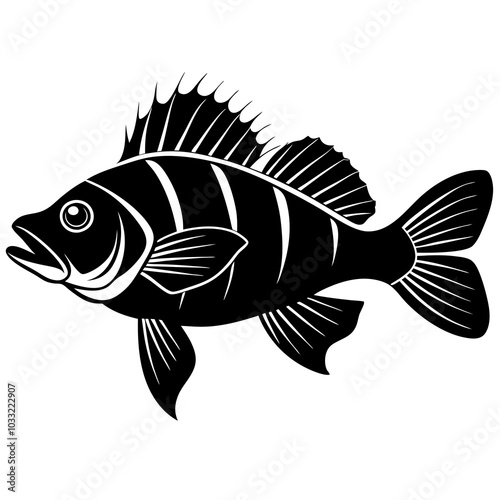 illustration of a fish