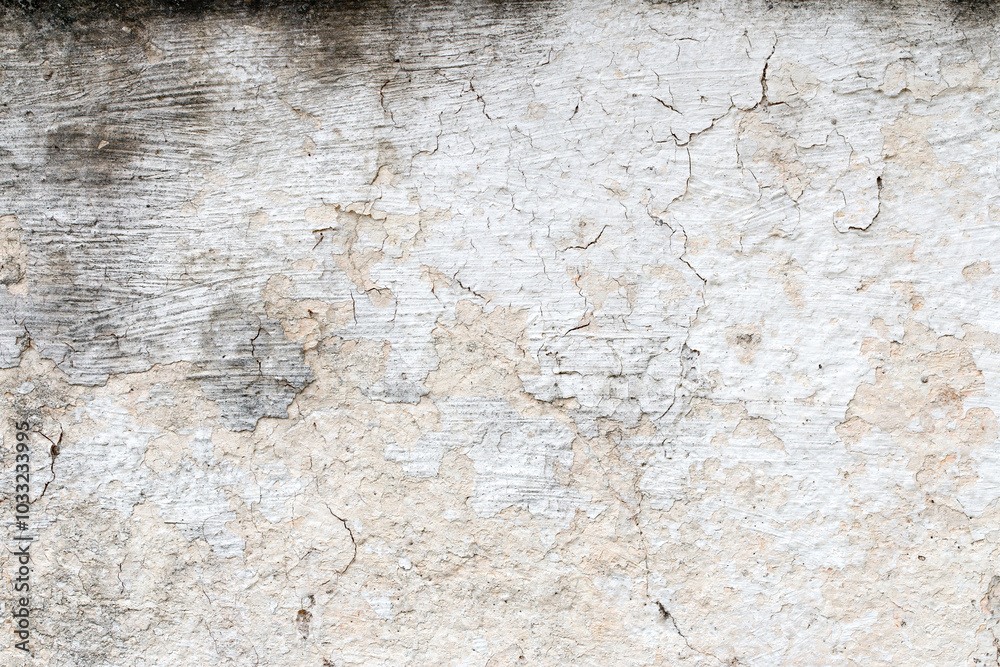 Light Gray Stucco Wall Texture. Abstract Background