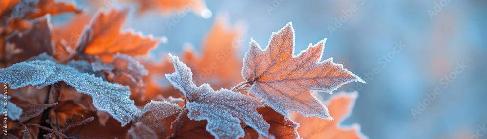 Frosted maple leaves resting on cold landscape create serene and tranquil atmosphere, showcasing beauty of winters touch on nature Frosted maple leaves resting on cold landscape create serene and tranquil atmosphere, showcasing beauty of winters touch on nature