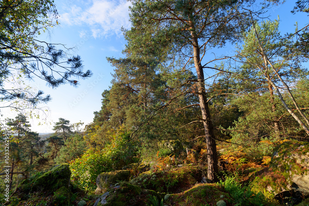 Obraz premium La Roche Feuilletée point of view in the Coquibus hill