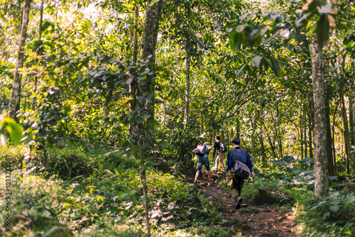 Adventure Trio Hiking Towards the Summit. Majestic Mountain Forest Landscape with Lush Greenery.