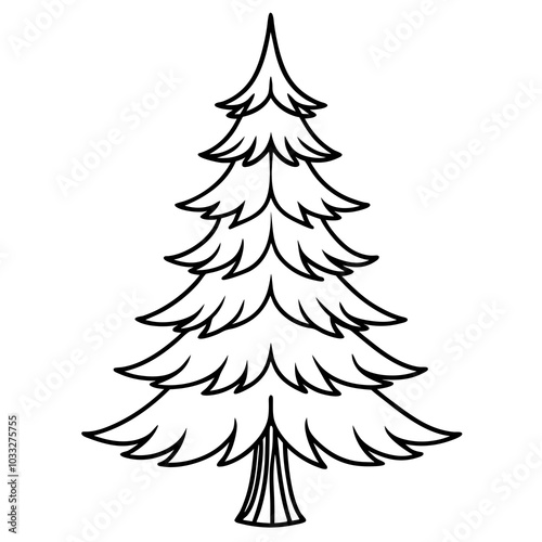 spruce line art vector illustration on a white background

