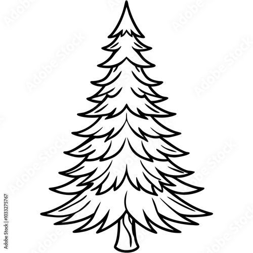 spruce line art vector illustration on a white background
