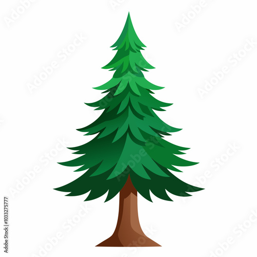 spruce vector illustration on a white background
