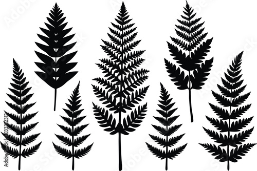 Set of fern black silhouette flat vector illustration on transparent background