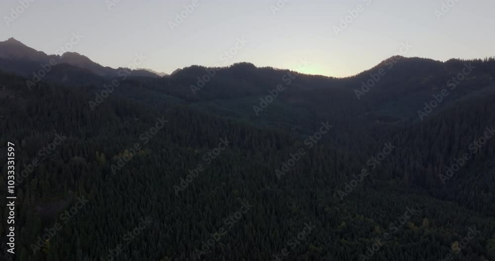 Aerial View of Dense Evergreen Forest at Dawn in the Cascade Mountains, Washington State Aerial View of Dense Evergreen Forest at Dawn in the Cascade Mountains, Washington State