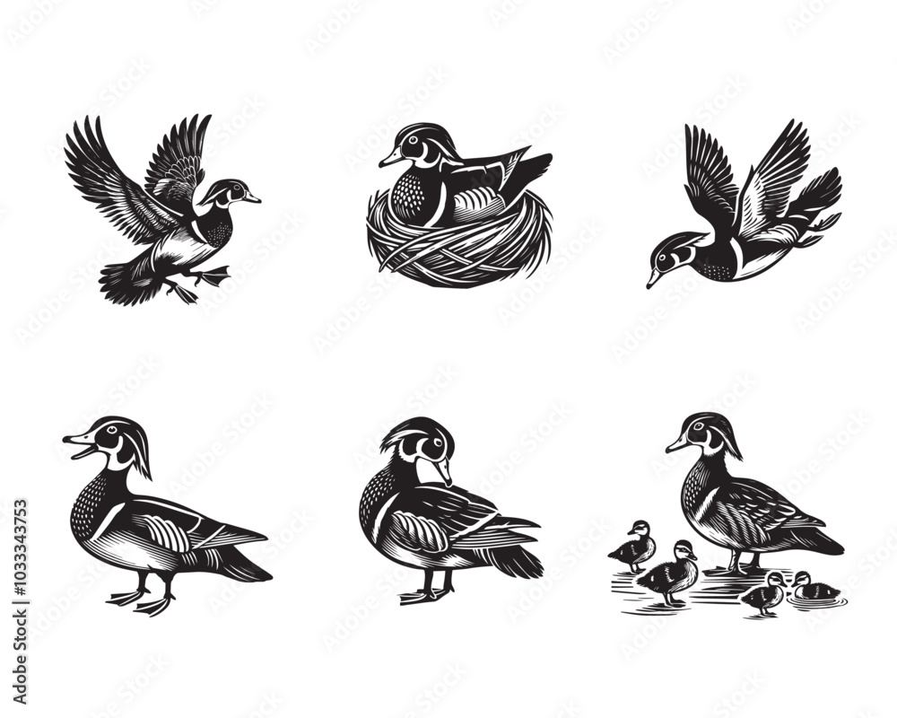 Obraz premium Collection of Wood Duck Outline Design - Cute Wood Duck Vector illustration in black and white 