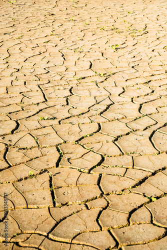 Cracked dry earth background. Heat, drought, climate change concept. photo