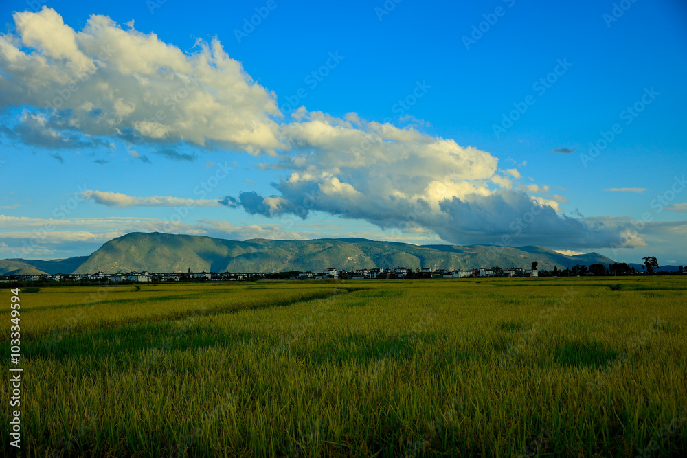 Fototapeta premium Expansive Fields Beneath Majestic Mountains