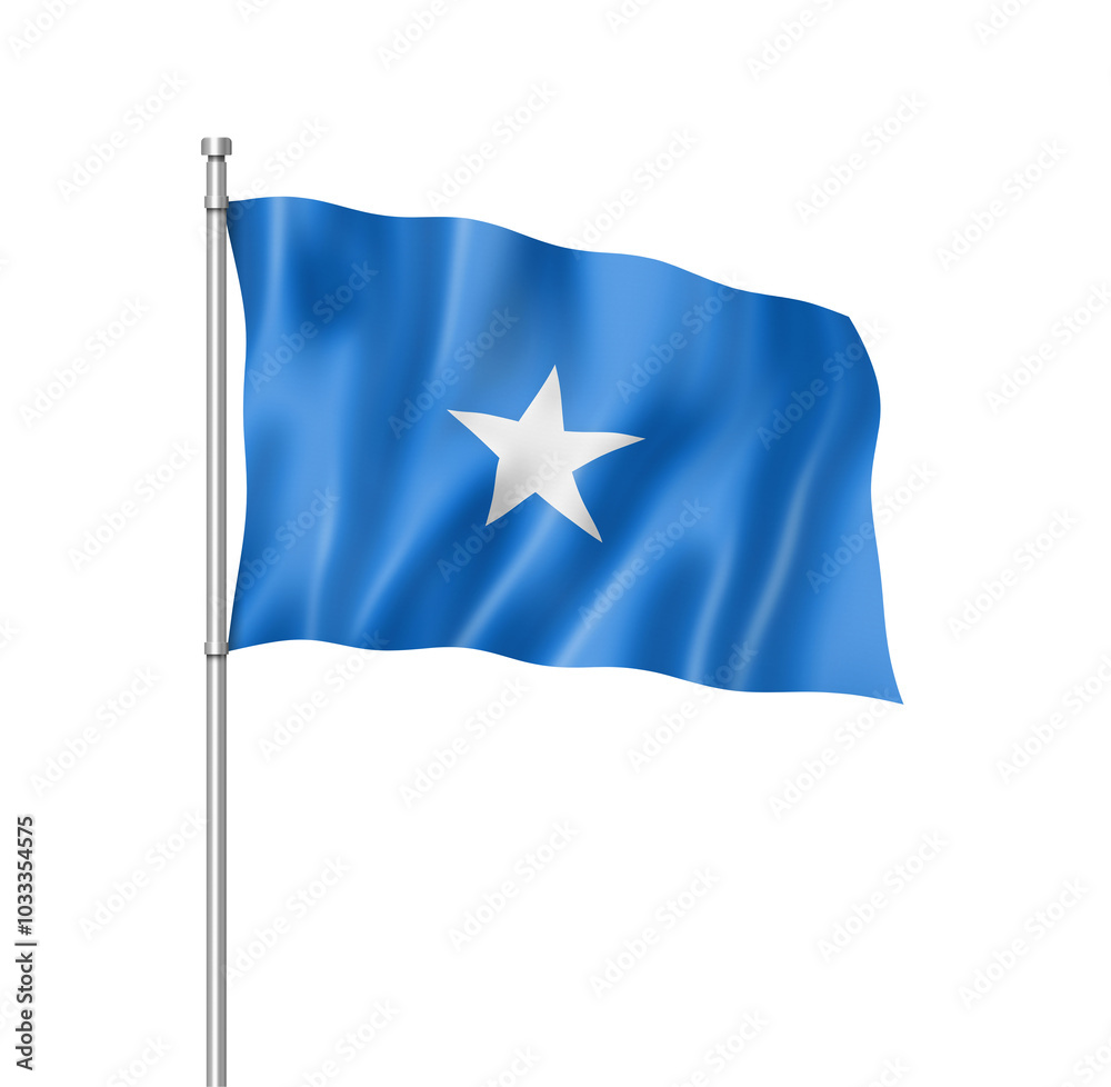 Somalian flag isolated on white Somalian flag isolated on white