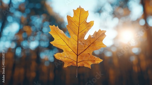 Golden Autumn Leaf with Sunlit Bokeh Background