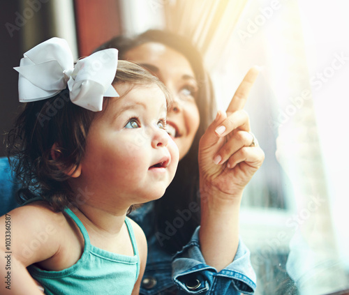 Photography Watching the birds fly by