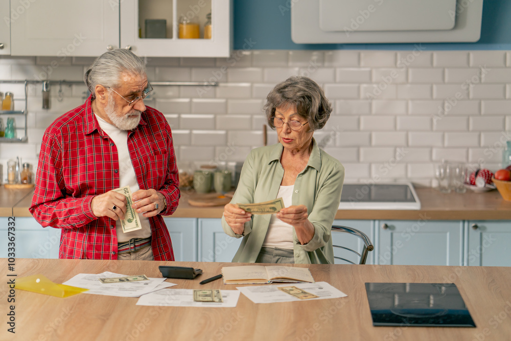 in bright kitchen an elderly cute couple at the table count their expenses monthly payment summing up the results of the year utilities count monthly survival count money in bright kitchen an elderly cute couple at the table count their expenses monthly payment summing up the results of the year utilities count monthly survival count money