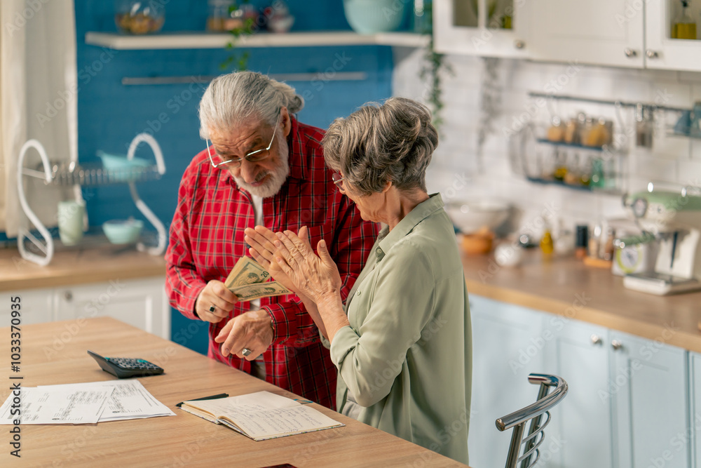 in bright kitchen an elderly cute couple at the table count their expenses monthly payment summing up the results of the year utilities count monthly survival count money