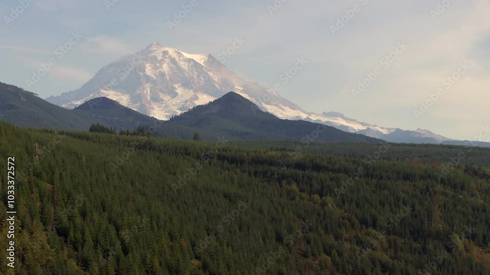 Aerial View of Mount Rainier with Expansive Evergreen Forest in Washington State Aerial View of Mount Rainier with Expansive Evergreen Forest in Washington State