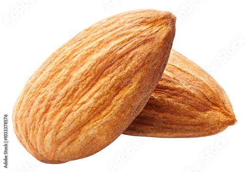 almond isolated