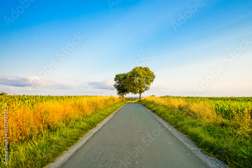 Landscape with fields near Dolberg, Ahlen.  Nature on Halberg.
 photo