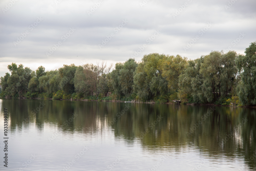 reflection of trees in the water reflection of trees in the water