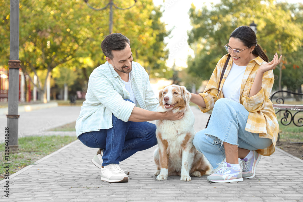 Young couple with Australian Shepherd dog in park Young couple with Australian Shepherd dog in park