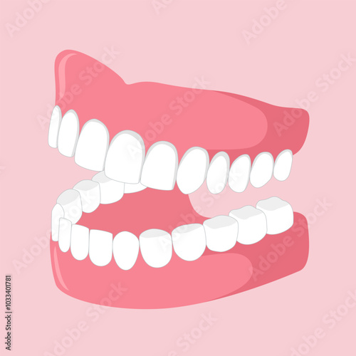 Dental theme with teeth model vector illustration.