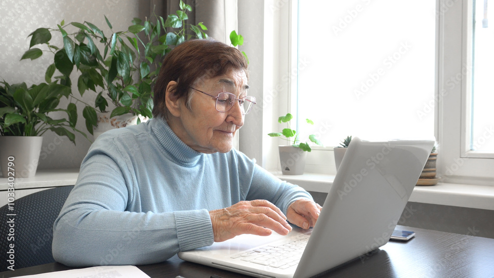 Elderly Woman in Glasses Working on Computer at Home Elderly Woman in Glasses Working on Computer at Home