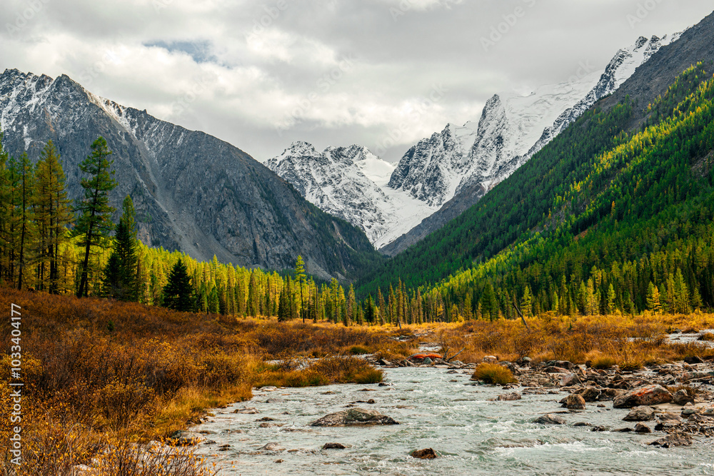 Obraz premium the beautiful valley of the Shavla river in Altai in autumn