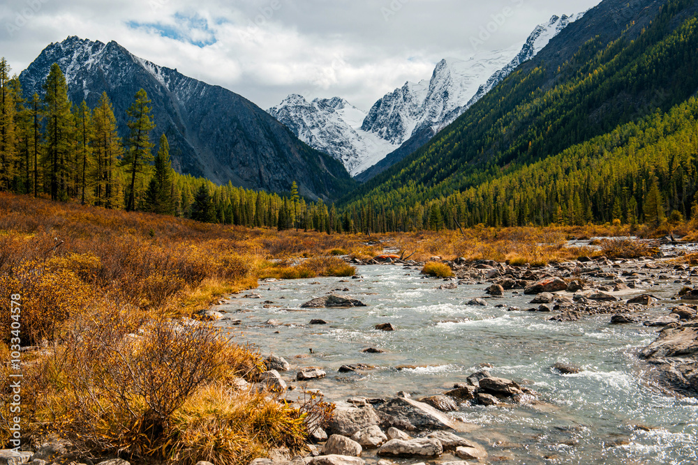 the beautiful valley of the Shavla river in Altai in autumn the beautiful valley of the Shavla river in Altai in autumn
