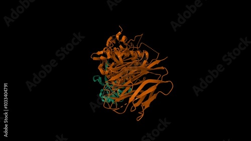 The crystal structure of proprotein convertase subtilisin kexin type 9 (PCSK9). Animated 3D cartoon and molecular surface models, PDB 2pmw, chain id color scheme, black background photo